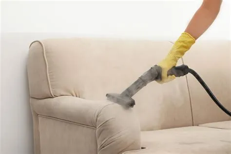 sofa being steam cleaned