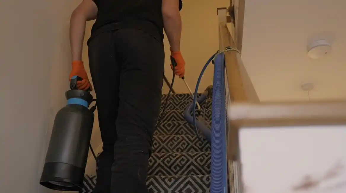 rug cleaning