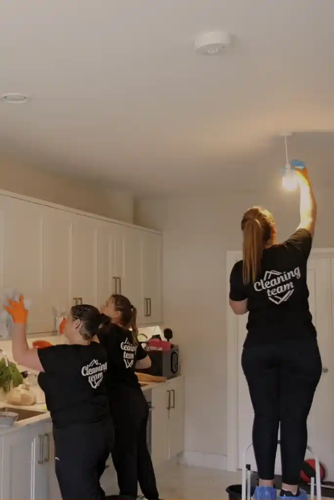 kitchen cleaners