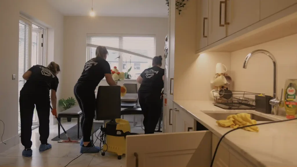 House Cleaning 1 living room cleaning