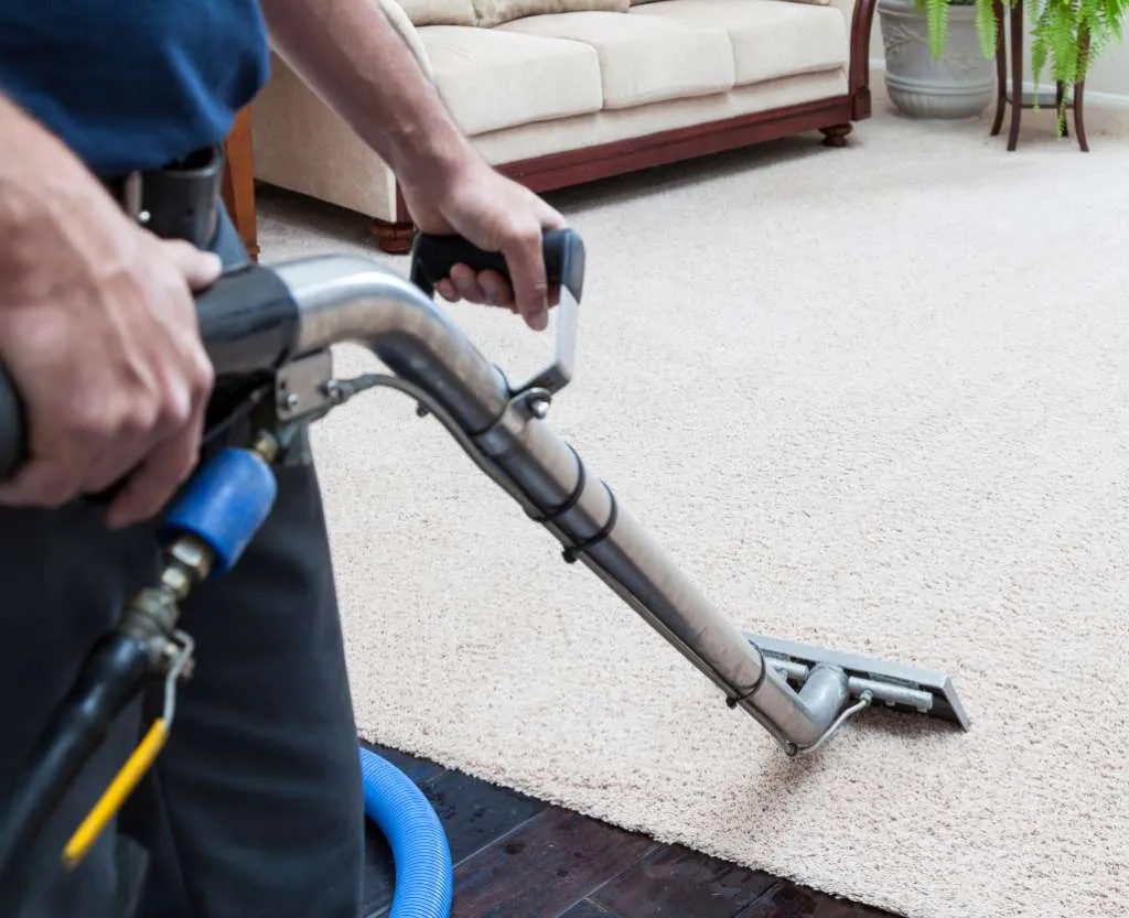 a professional cleaner cleaning the living room carpet
