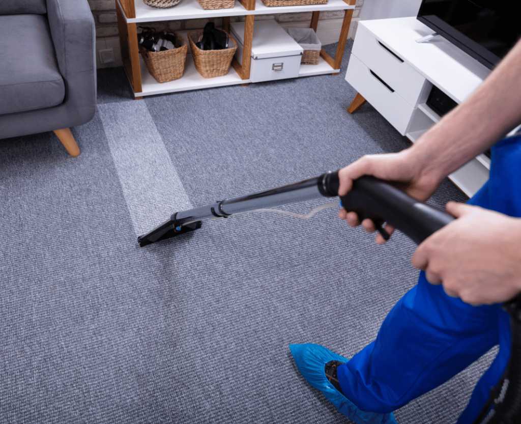 a professional cleaner cleaning the living room carpet
