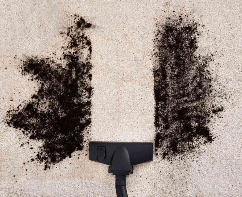 dirty carpet being cleaned with vacuum