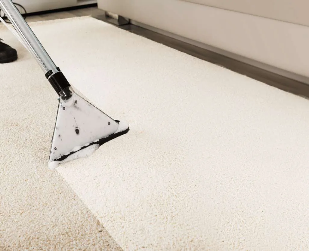 carpet cleaning