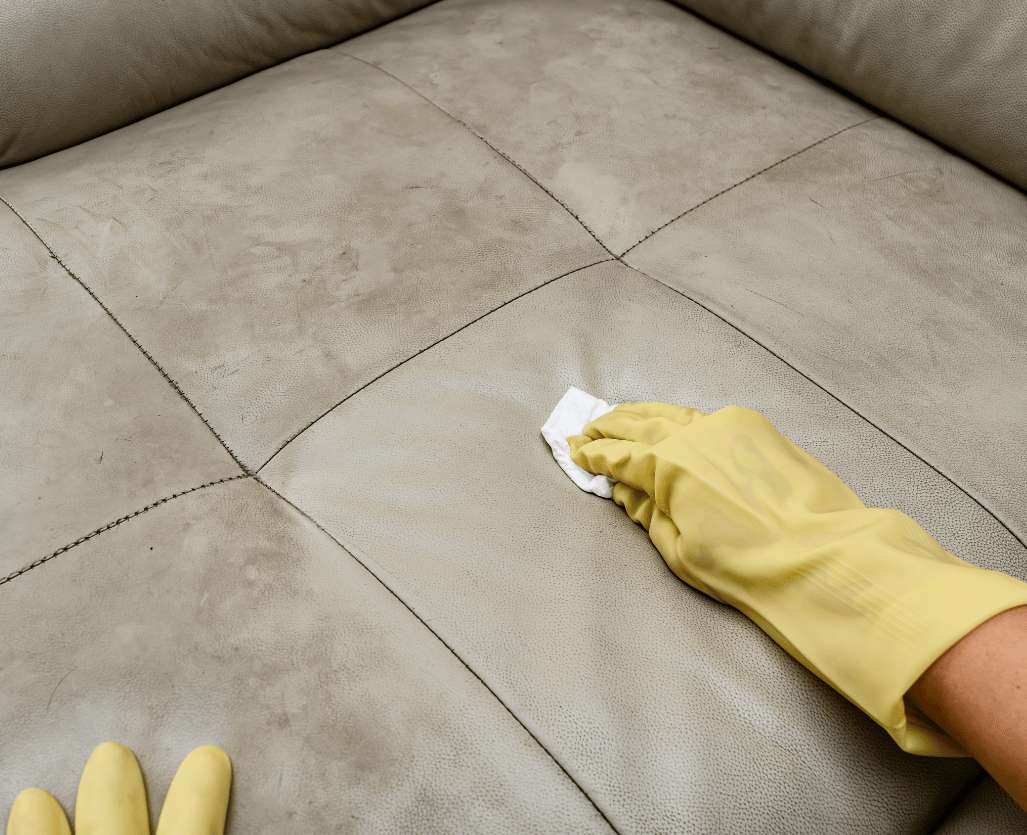 gloved hands cleaning sofa